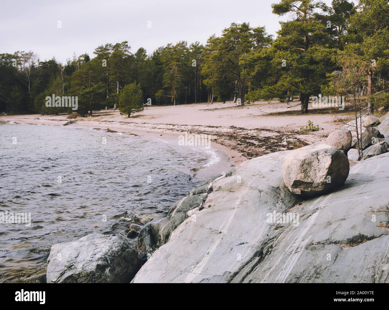 Felsen Findlinge neben Strand und Wald auf der Ostsee, Bjorno Nature Reserve (Bjorno Naturreservat), Stockholmer Schären, Schweden Stockfoto