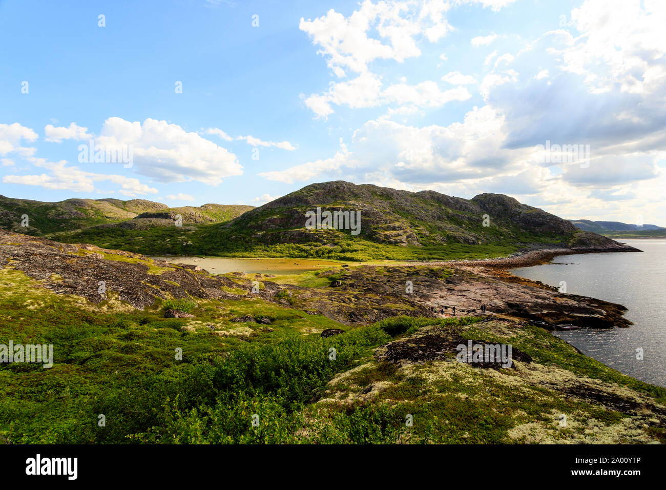 Northern polar Sommer. Schöne Küste der Barentssee, Arktischen Ozean, Halbinsel Kola, Russland Stockfoto