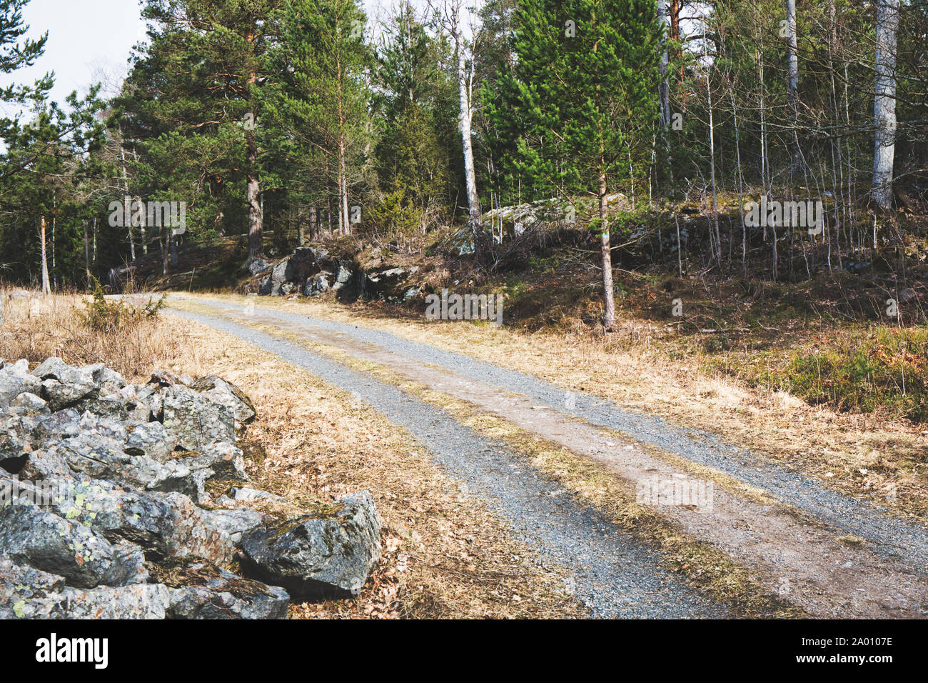 Dirt Road Track durch Wald, Naturschutzgebiet (Bjorno Bjorno Naturreservat), Stockholmer Schären, Schweden Stockfoto