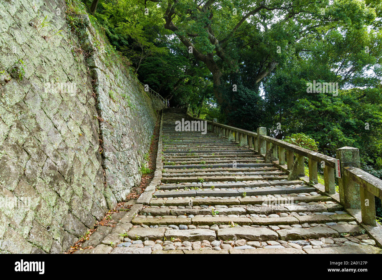 Steile Steintreppe von grünen Bäumen. Kunozan Tosho-gu Schrein Treppe, Shizuoka, Japan Stockfoto