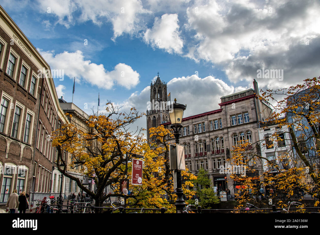 Herbst Szene mit rot gelb braun und orange Farben den Wechsel der Jahreszeiten Stockfoto