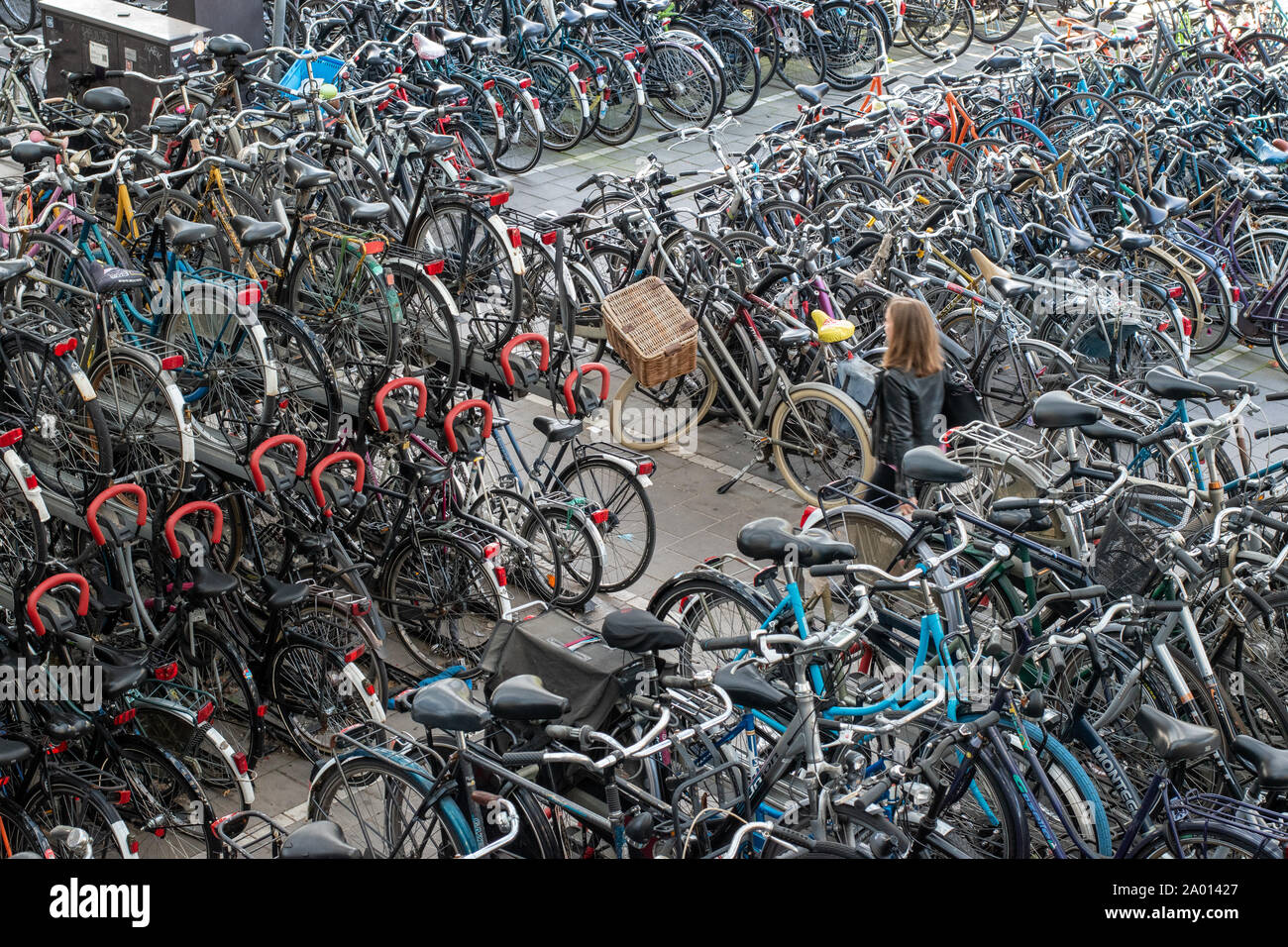 Hunderte von Fahrrädern auf einem Bahnhof geparkt in Rotterdam, Niederlande Stockfoto