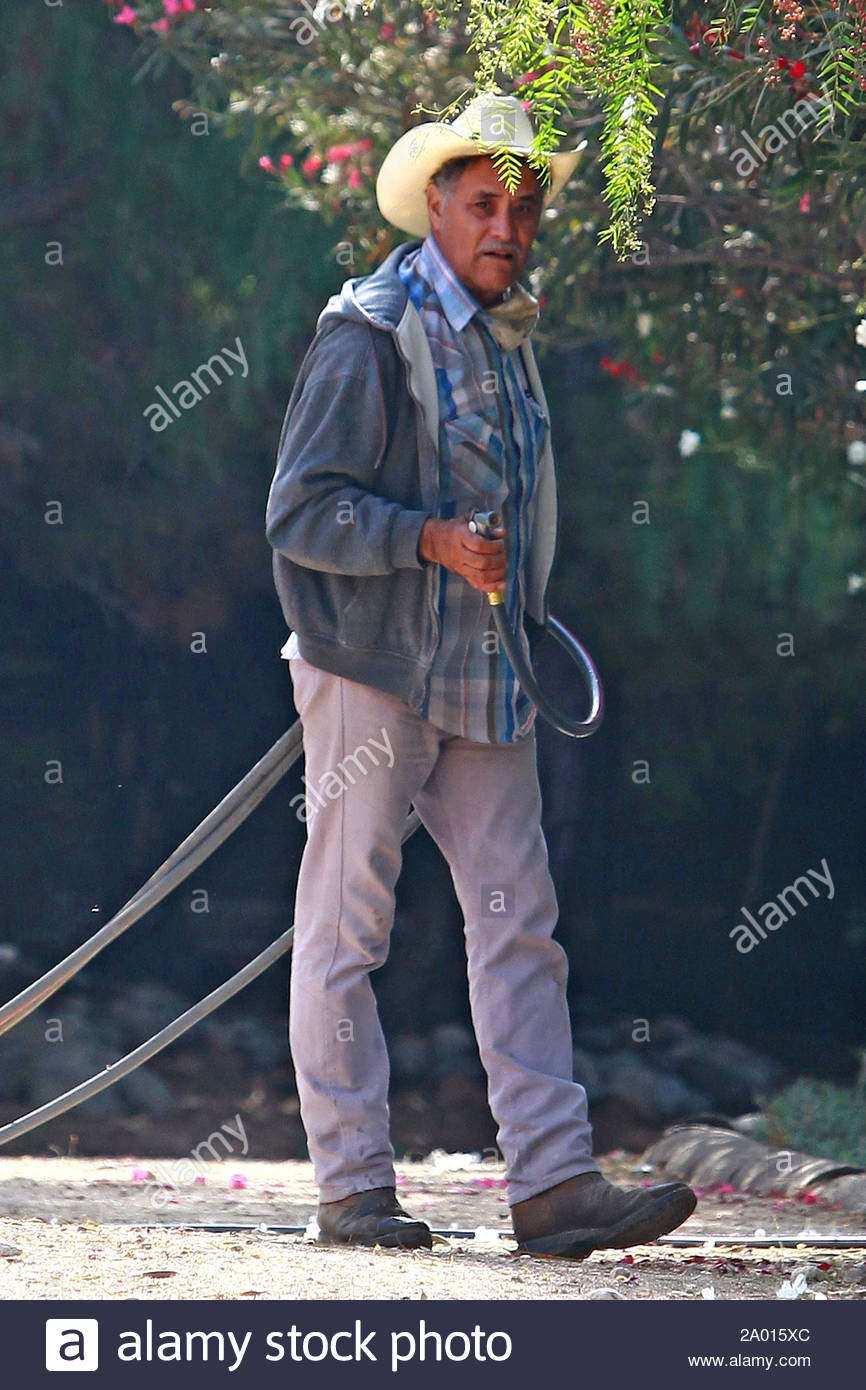 Patrick Swayze Wife Lisa Stockfotos Patrick Swayze Wife Lisa