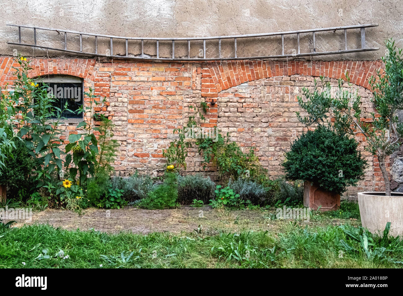 Olivenbaum Garten Deutschland Stockfotos und bilder Kaufen Alamy