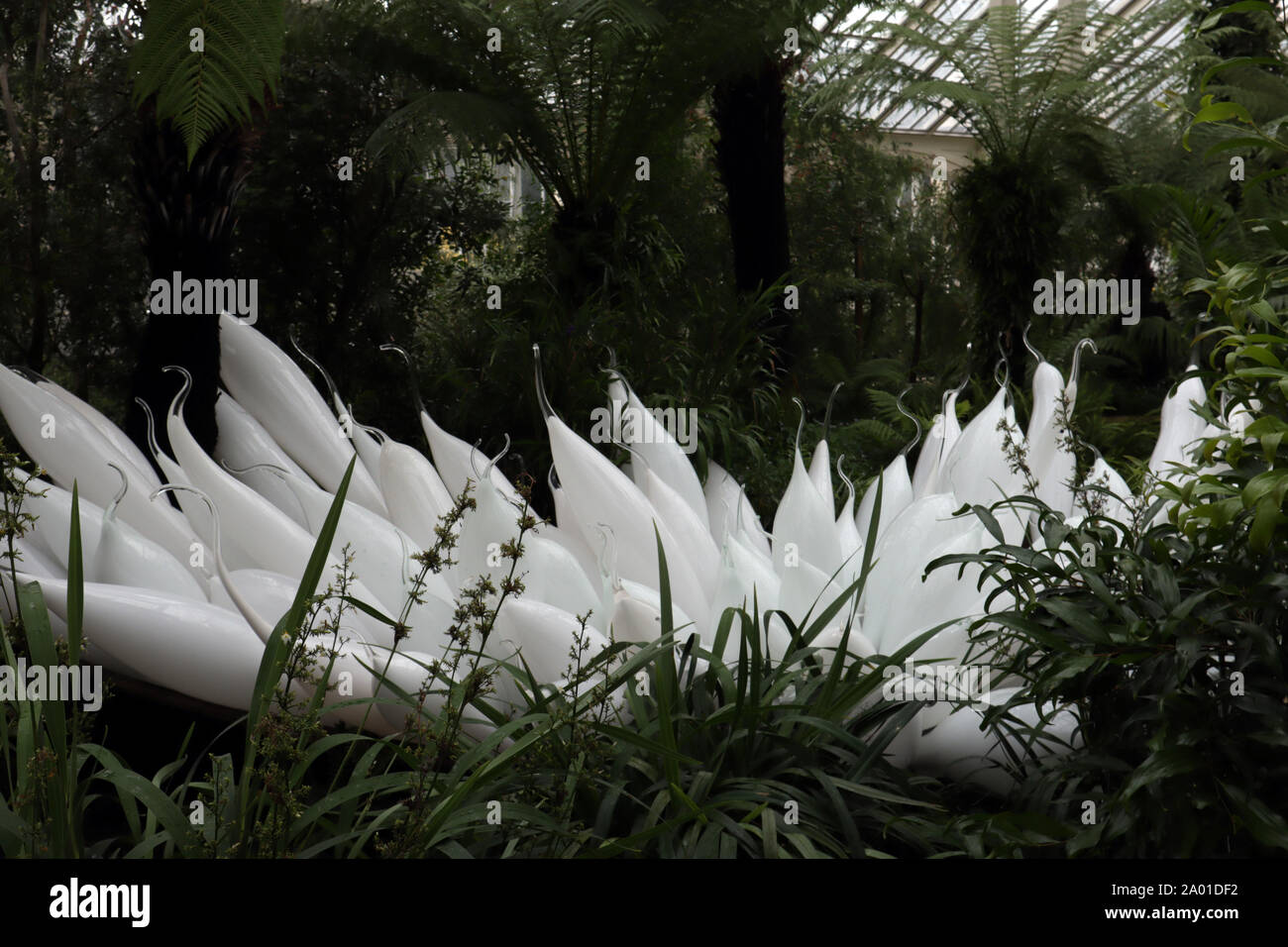 Glasskulptur der amerikanischen Künstlerin Dale Chihuley Stockfoto