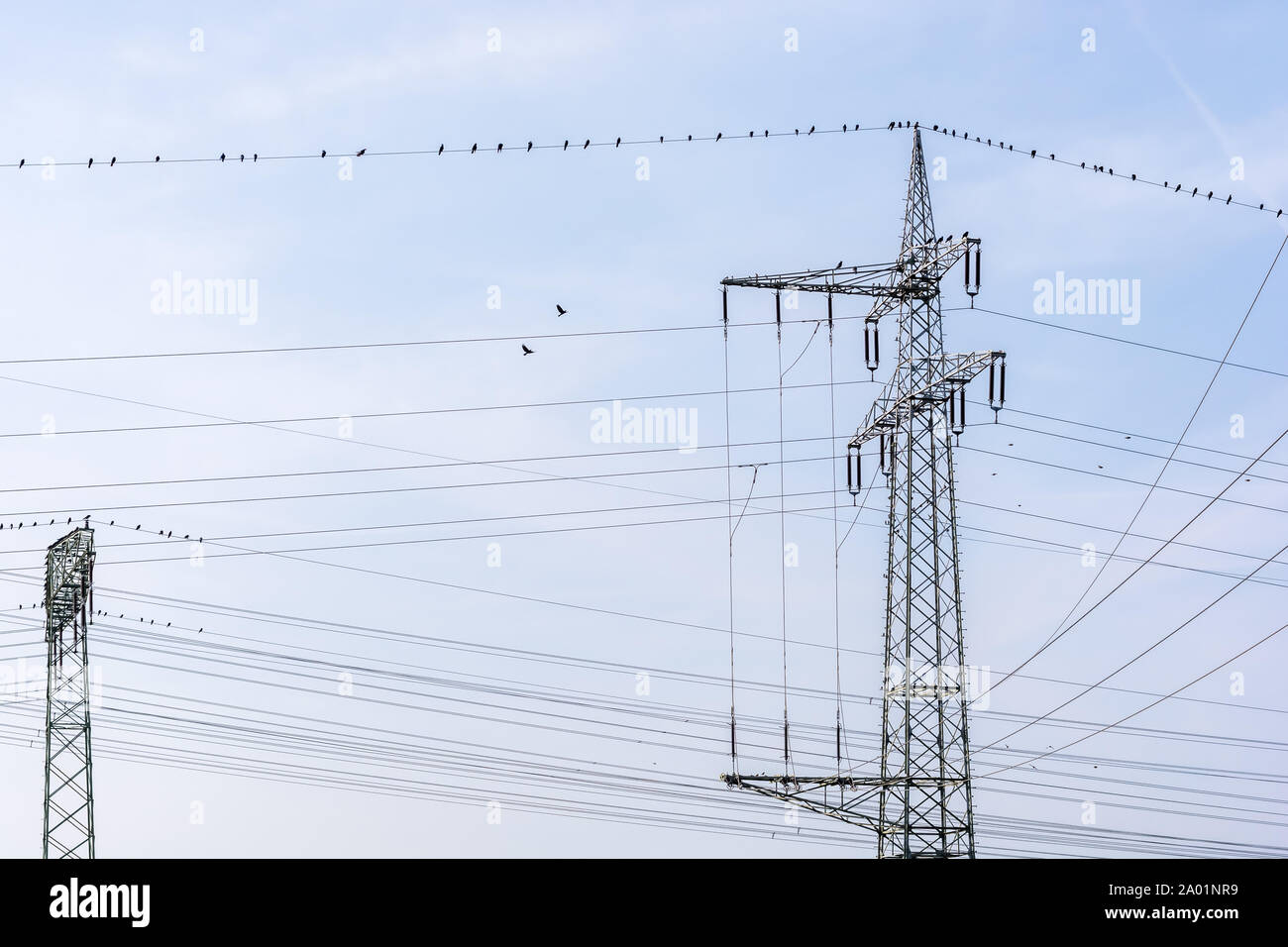 Strom Netzwerk mit Verzweigung mast Stockfoto