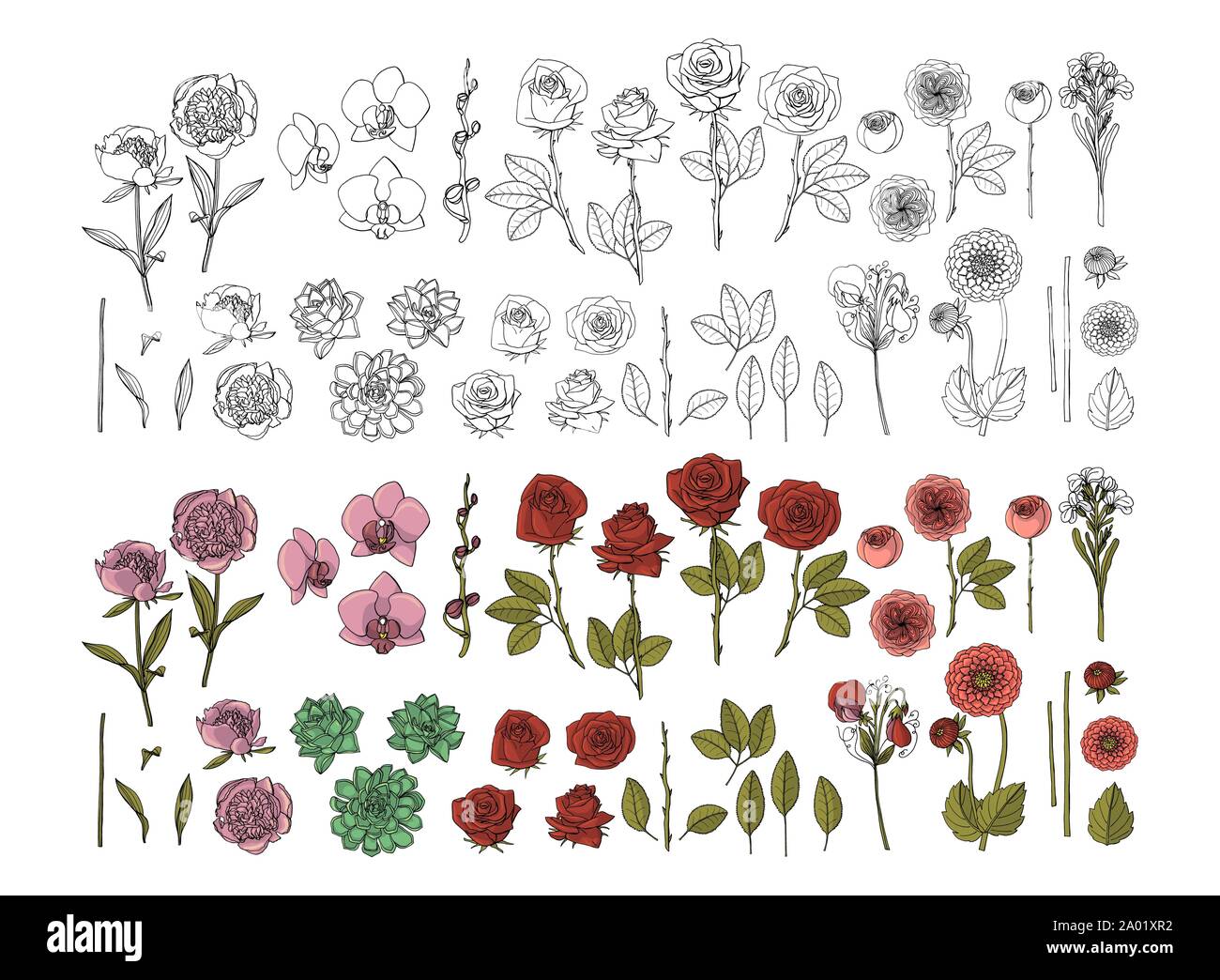 Großer Satz von Hand gezeichnet Doodle style Blumen. dhalia, Sweet Pea, Rose, Pfingstrose Stock Vektor