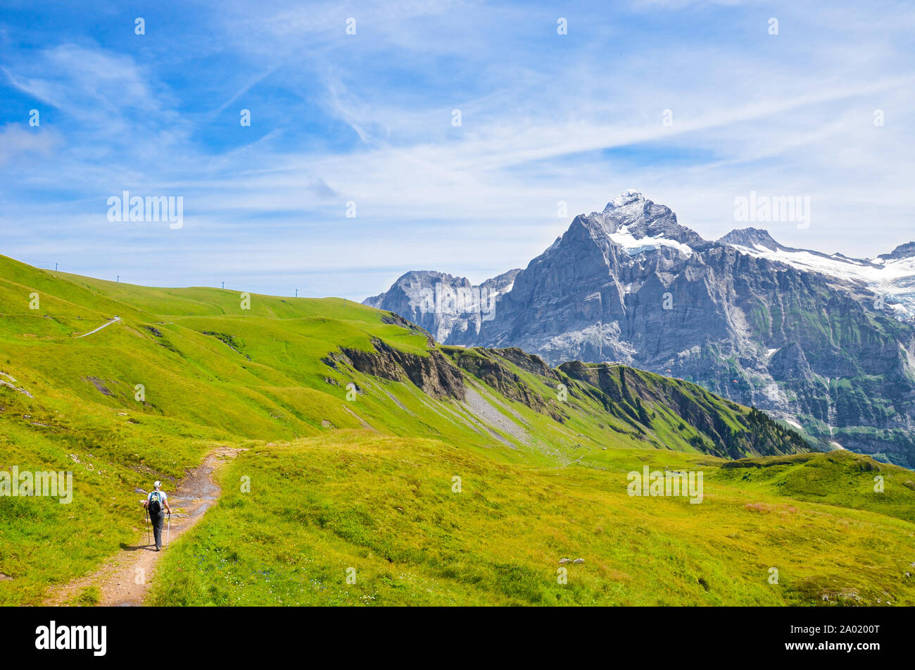 Wanderer in den Schweizer Alpen wandern mit Wanderstöcken. Berühmten Berge Jungfrau, Eiger und Mönch im Hintergrund. Grüne alpinen Sommer Landschaft. Nordic Walking. Aktivitäten im Freien. Stockfoto