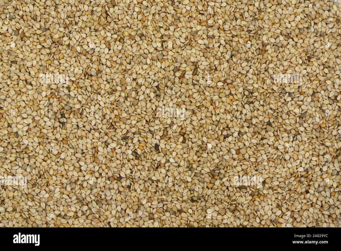 Ansicht von oben Hintergrund mit weißen Sesamsamen Stockfoto