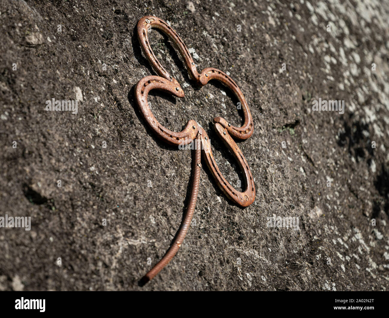 Nahaufnahme von einem Kleeblatt auf einem Felsen aus Hufeisen Stockfoto