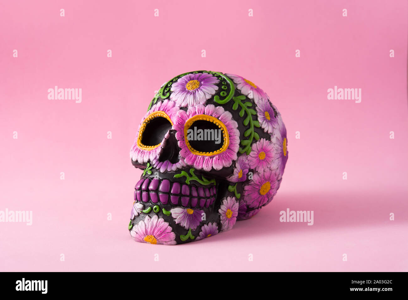 Typisch mexikanischen Schädel mit Blumen auf rosa Hintergrund gemalt. Dia de los Muertos. Stockfoto