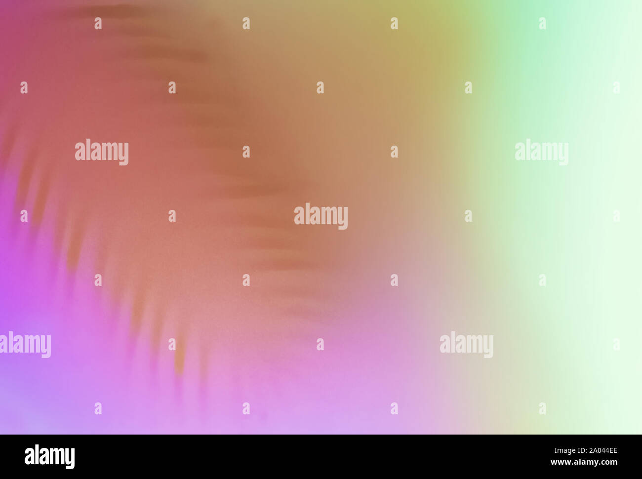 Zusammenfassung Hintergrund mit palm leaf im Neonlicht Stockfoto