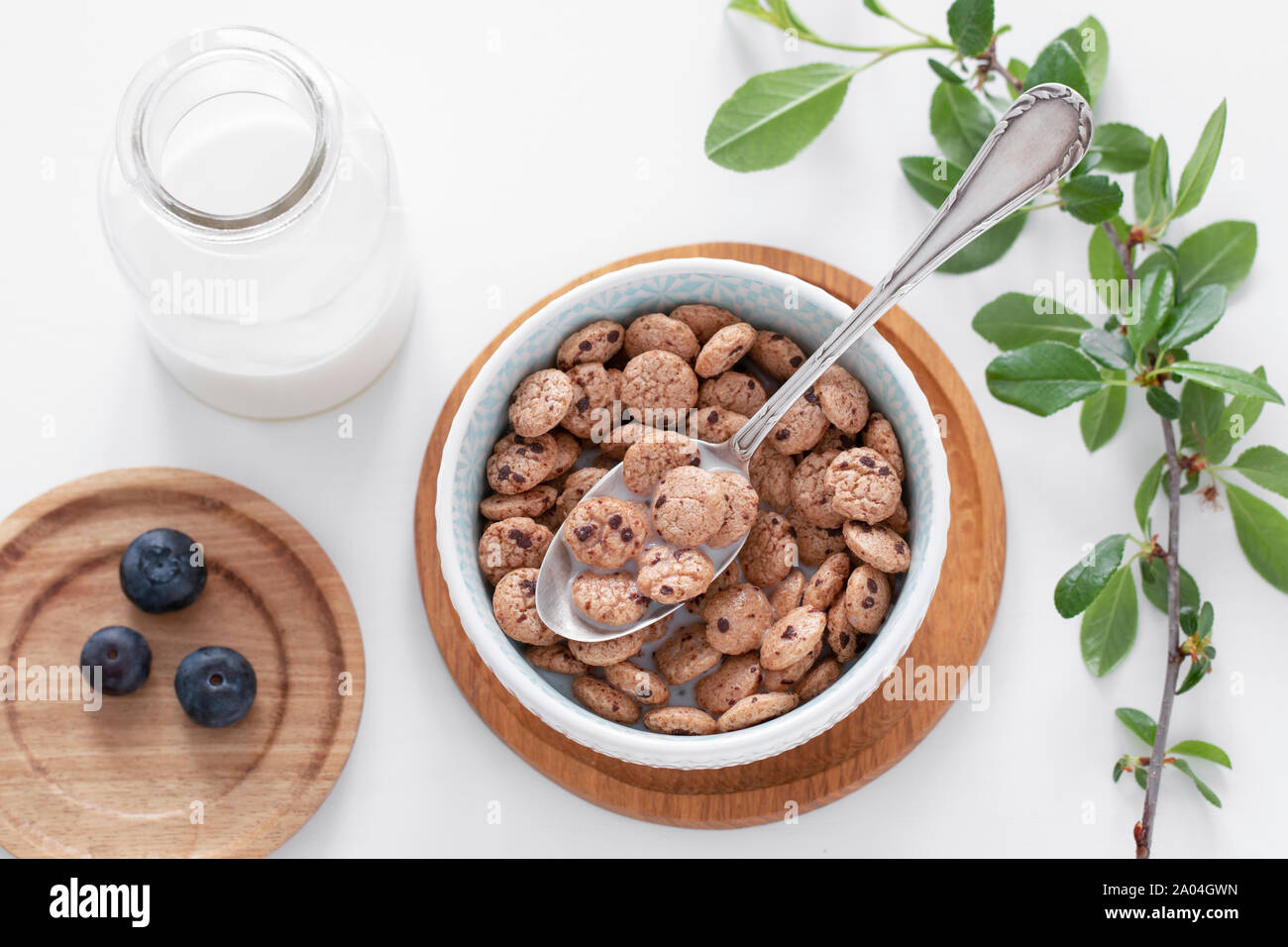 Gesundes Frühstück. Cornflakes mit Milch. Holz- platten. Weiß-braun gefärbt. Zweig mit grünen Blätter. Stockfoto