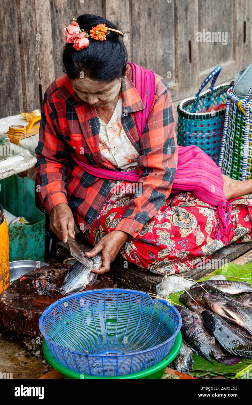 Eine lokale Burmesische Frau Skalierung frischen Fisch in Mingalar Markt, Nyaung Shwe See Inle, Shan Staat, Myanmar. Stockfoto