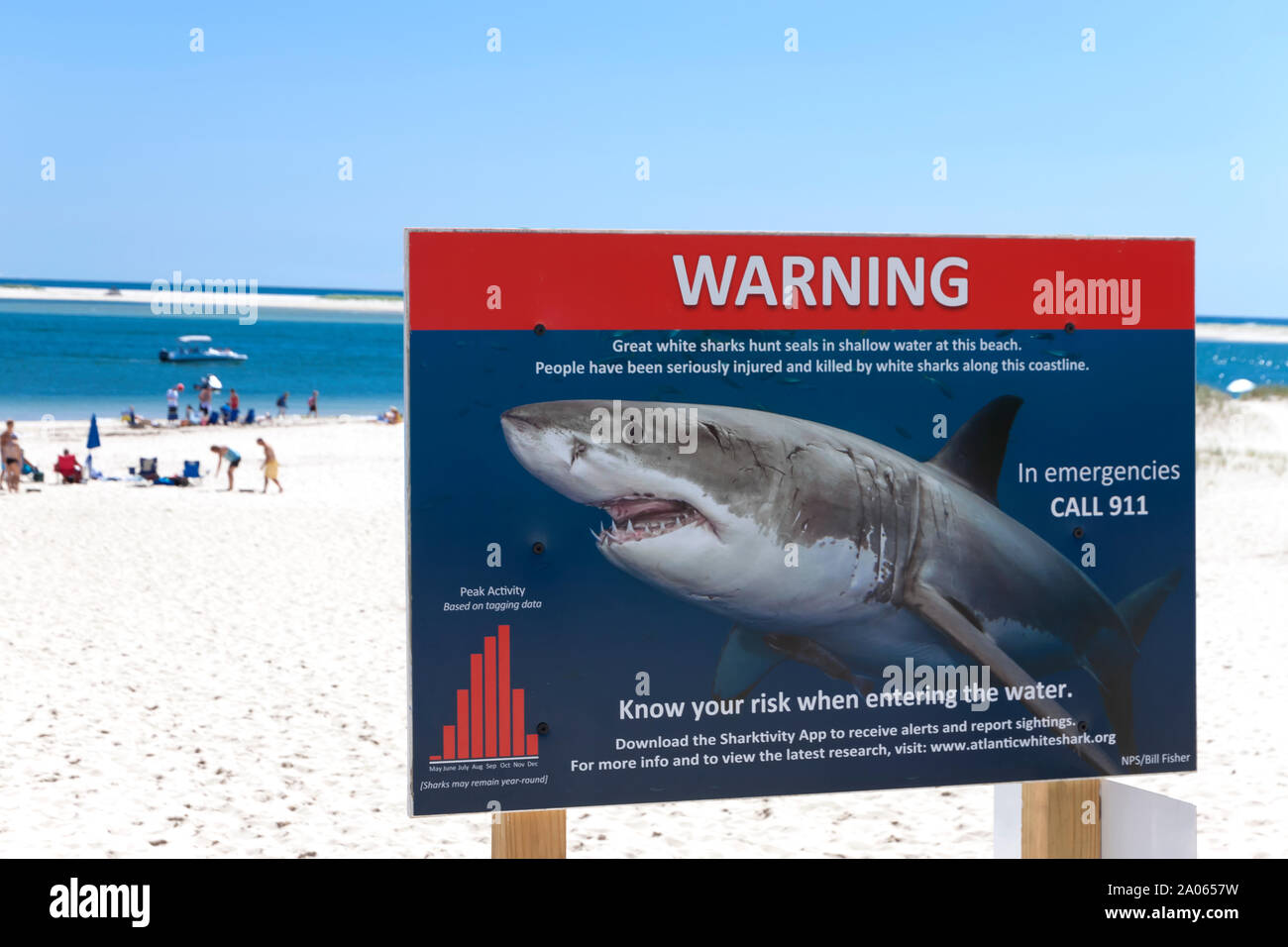 Shark Warnschild in Chatham, Massachusetts. Stockfoto