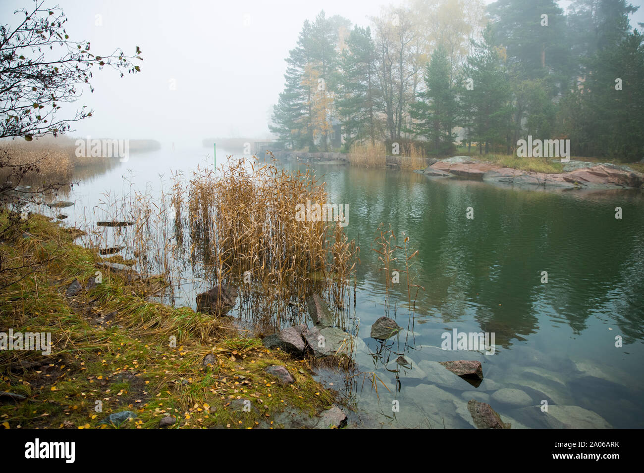 Serene skandinavischen Herbst Landschaften des südlichen Finnland Espoo in nebligen Tag. Bunte Herbst Wald in ruhiger See Wasser widerspiegelt. Abgefallene Blätter Stockfoto