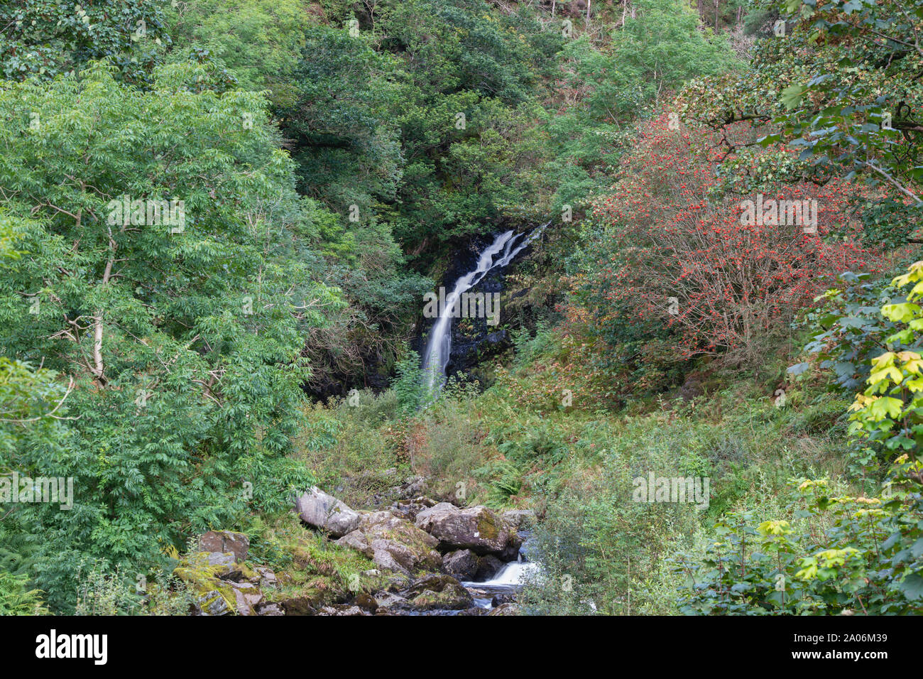 Wasserfälle entlang Grau mares Schwanz brennen in der Nähe von Newton Stewart, Dumfries und Galloway, Schottland Stockfoto