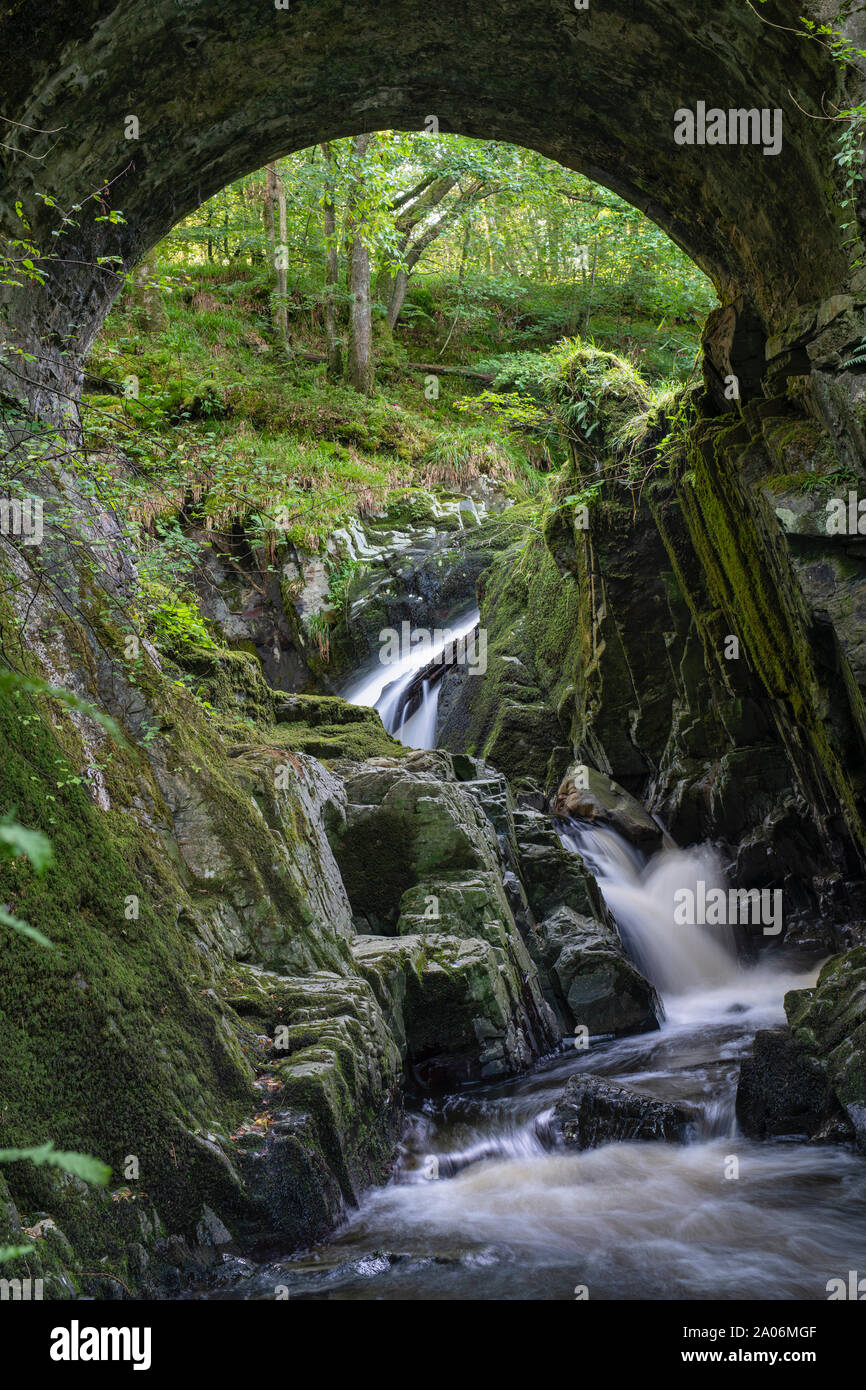 Wasserfälle bei Routin Brücke Holz. Irongray, Dumfries und Galloway, Schottland Stockfoto