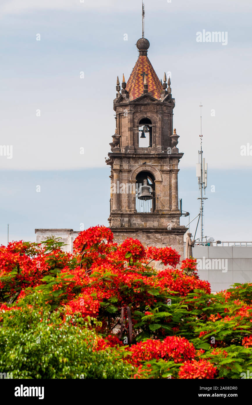 Das historische Zentrum, Guadalajara, Jalisco, Mexiko. Stockfoto