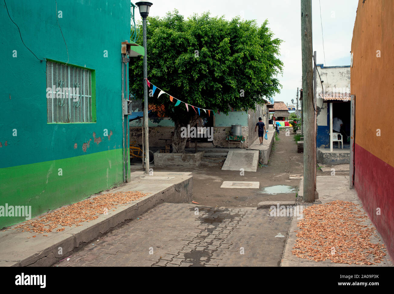 Garnelen (camarones) trocknen auf den Straßen von Mexcaltitán, Nayarit, Mexiko. Garnelen und Fischen sind der wichtigste Wirtschaftszweig der Insel. Jun 2019 Stockfoto