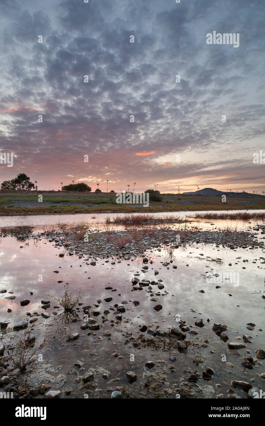 Vordergrund Felsen und trockene rote Pflanzen in einem fast ausgetrockneten See, schöne bunte Sonnenuntergang Himmel und Reflexionen im Wasser Stockfoto