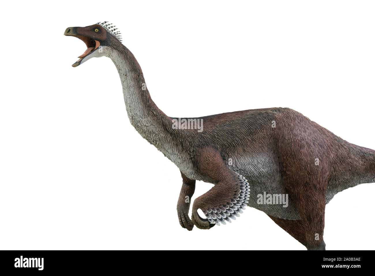 Gallimimus isoliert auf weißem Hintergrund. Gallimimus war ein Pflanzenfresser Dinosaurier, die in der Lage war, sehr schnell zu laufen Stockfoto