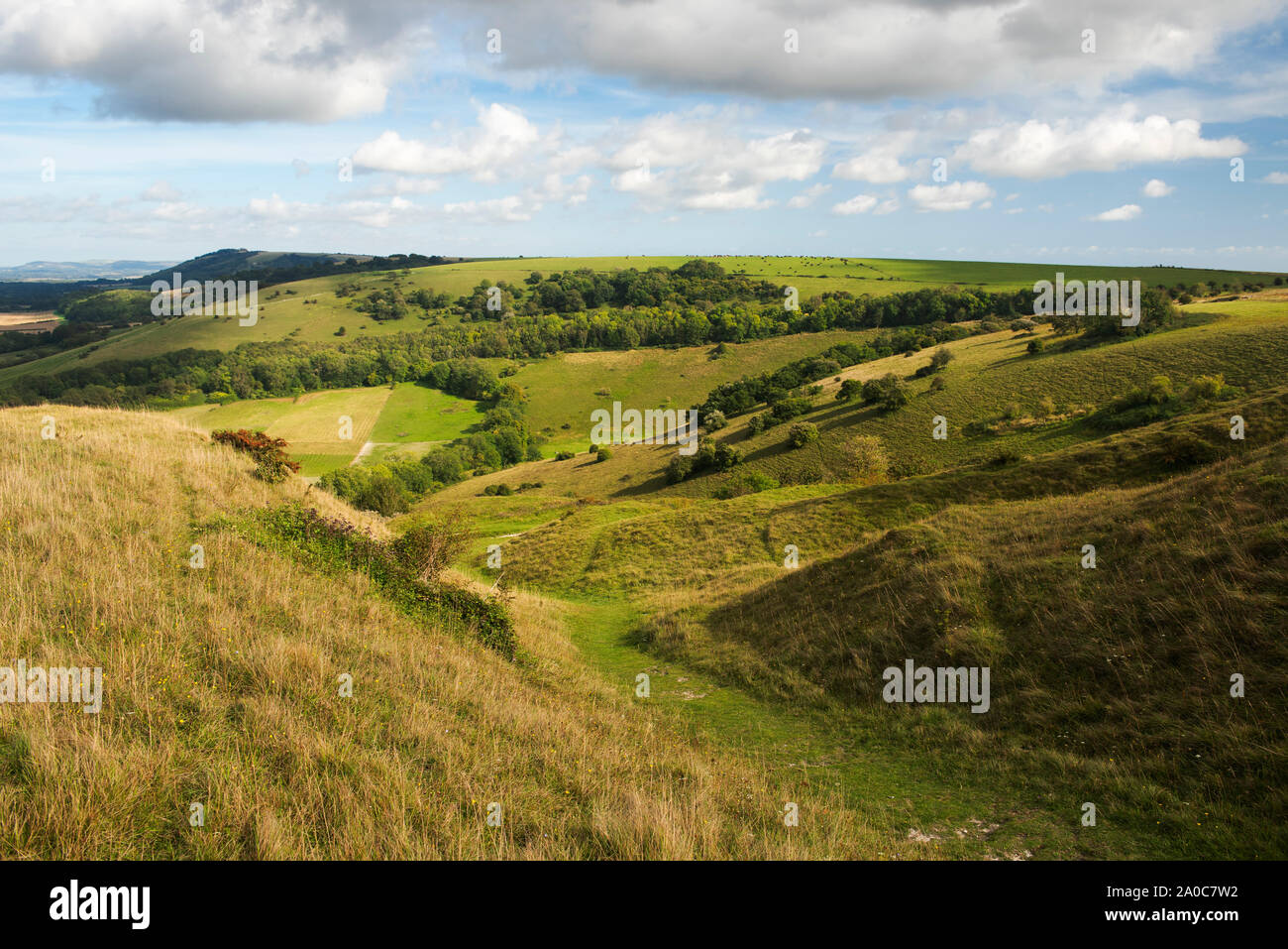 Die South Downs in der Nähe von Kithurst Hügel über Storrington auf einem August Nachmittag, West Sussex, Großbritannien Stockfoto