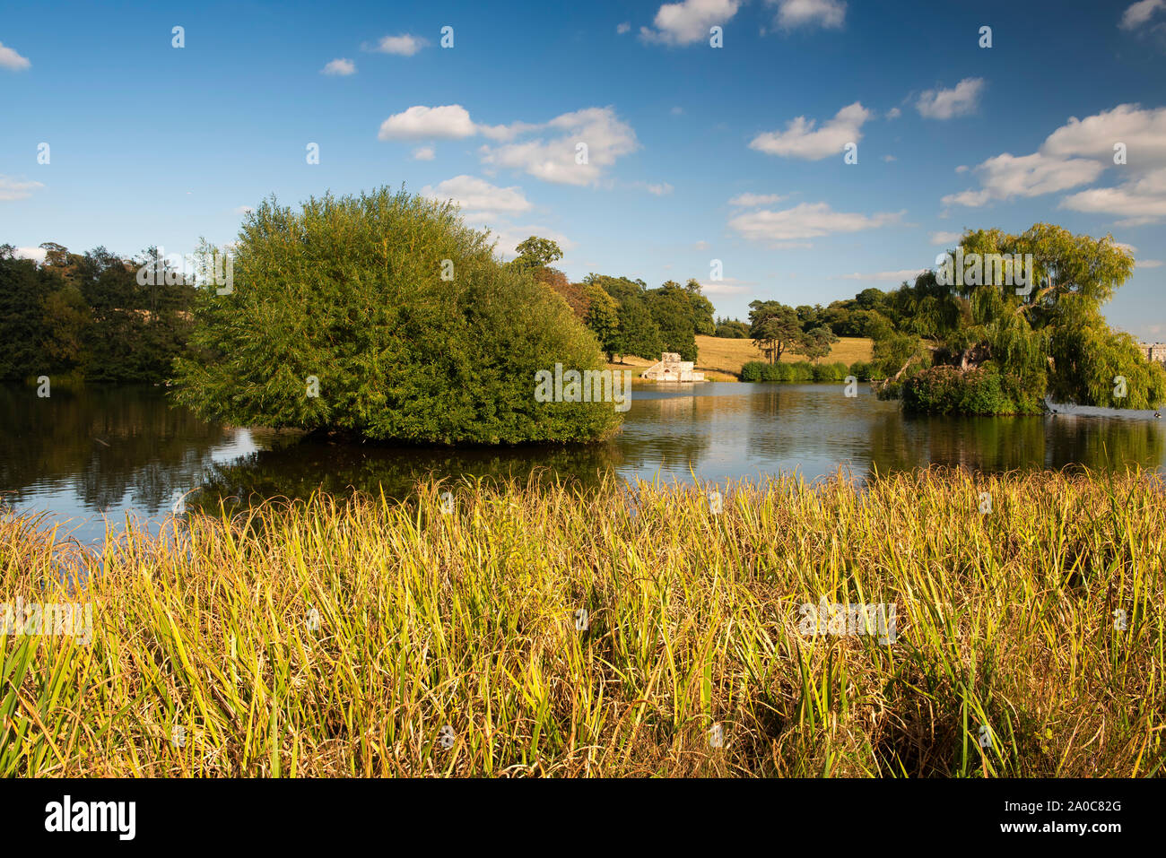 Spätsommer in Petworth Park a Deer Park angelegten von Lancelot "Capability" Brown, West Sussex, England, Großbritannien Stockfoto