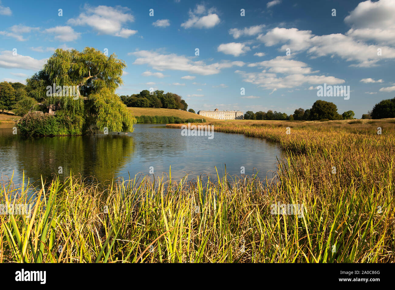 Spätsommer in Petworth Park a Deer Park angelegten von Lancelot "Capability" Brown, West Sussex, England, Großbritannien Stockfoto