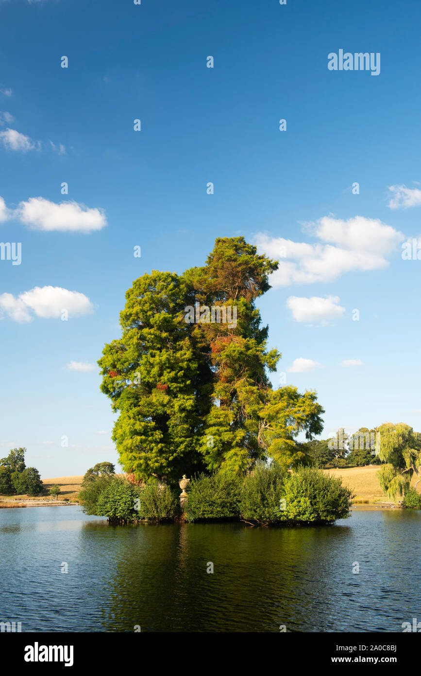 Spätsommer in Petworth Park eine landcaped Deer Park von Lancelot "Capability" Brown, West Sussex, England, Großbritannien Stockfoto