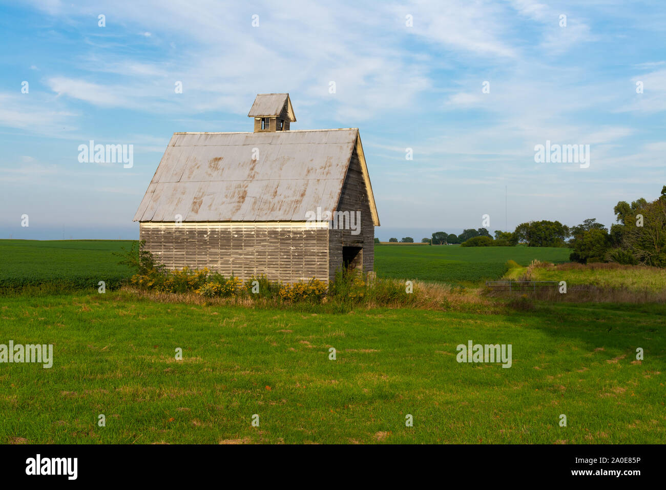 Alte Scheune in das Feld "Öffnen" ein. LaSalle County, Illinois, USA Stockfoto