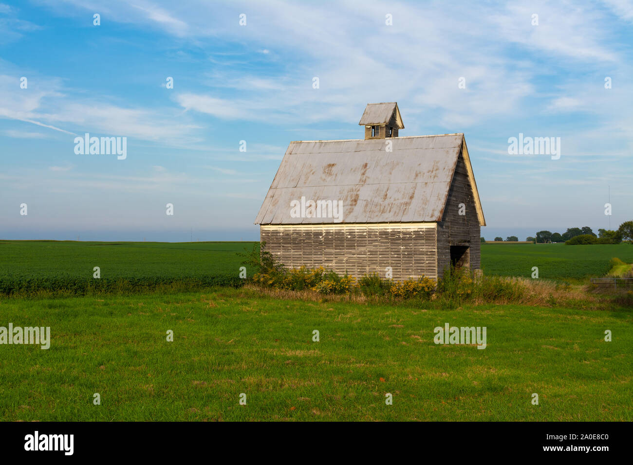 Alte Scheune in das Feld "Öffnen" ein. LaSalle County, Illinois, USA Stockfoto