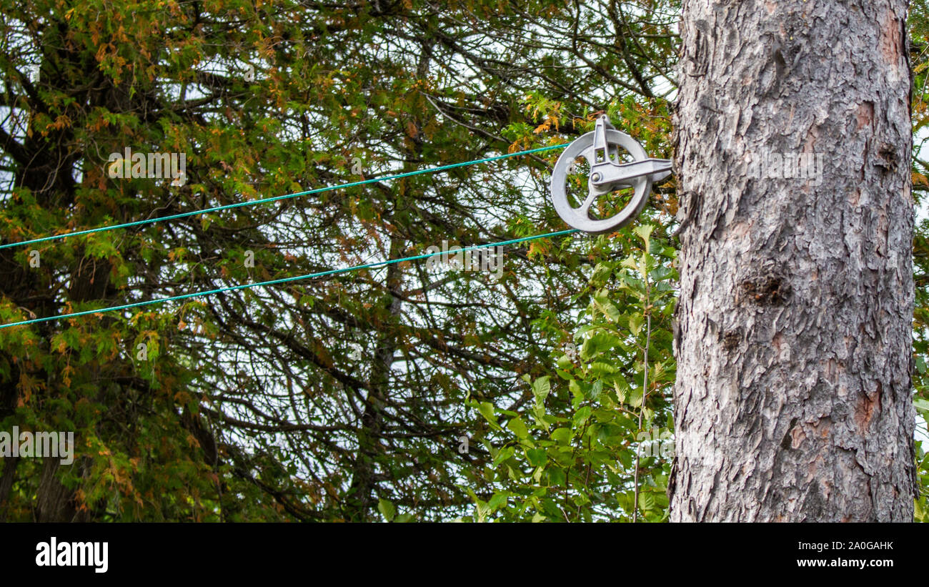 Eine Wäscheleine auf einem am Lenkrad ist mit dem Stamm eines Baumes außerhalb angebracht. Stockfoto