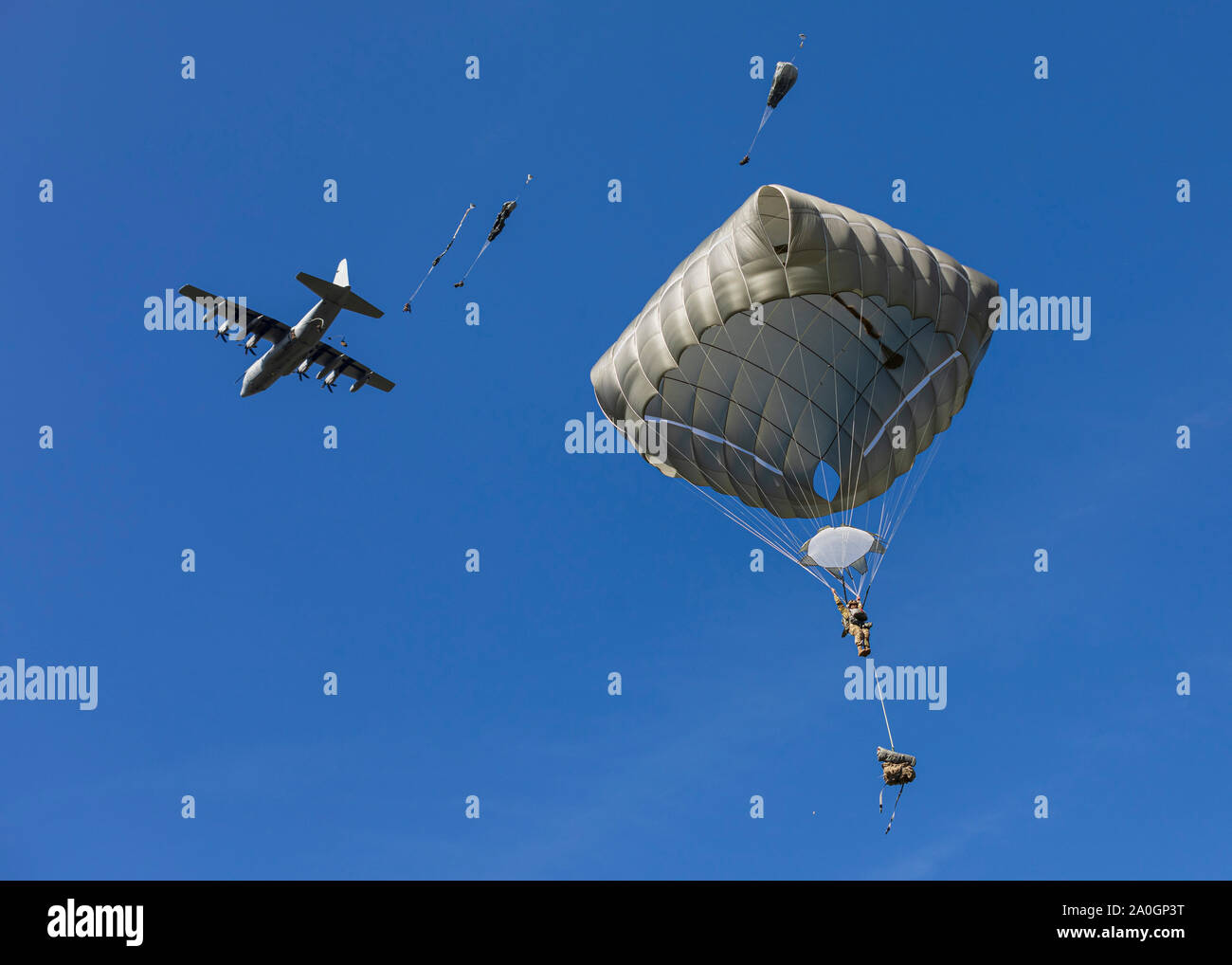 Ein Fallschirmjäger der US-Armee von der 173Rd Airborne Brigade springt von einer US Air Force C-130 Transportflugzeuge, während der Gemeinsamen gewaltsamen Eindringen Training für Sabre Junction 2019 (SJ19), am Hohenfels Training Area, Sept. 18, 2019. SJ19 ist eine Übung für fast 5.400 Teilnehmer aus 16 Nationen Verbündeter und Partner bei der US-Armee Grafenwöhr und Hohenfels Ausbildung Bereiche, Sept. 3 bis 30. Sept. 2019. SJ19 ist so konzipiert, dass die Bereitschaft der 173Rd Airborne Brigade der US-Armee land arbeiten in einer gemeinsamen auszuführen, zu bewerten, kombinierte Umwelt und Interoperabilität mit Teil zu fördern. Stockfoto