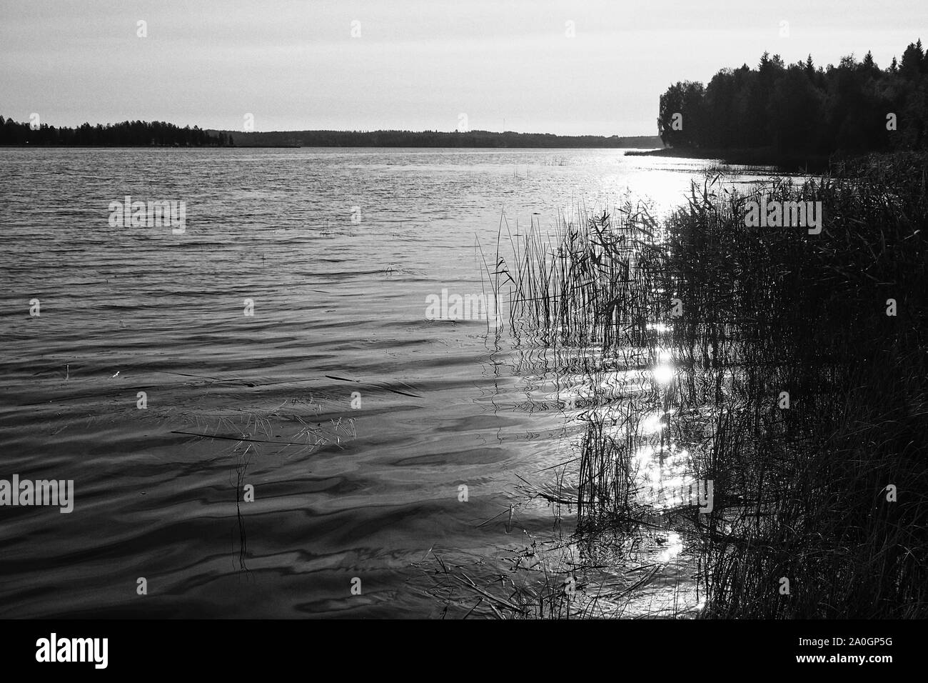Die aufgehende Sonne spiegelt wunderschön am See Wasser an der ländlichen Finnland. Die frühen Herbst morgen sind schön durch die Seen. Stockfoto