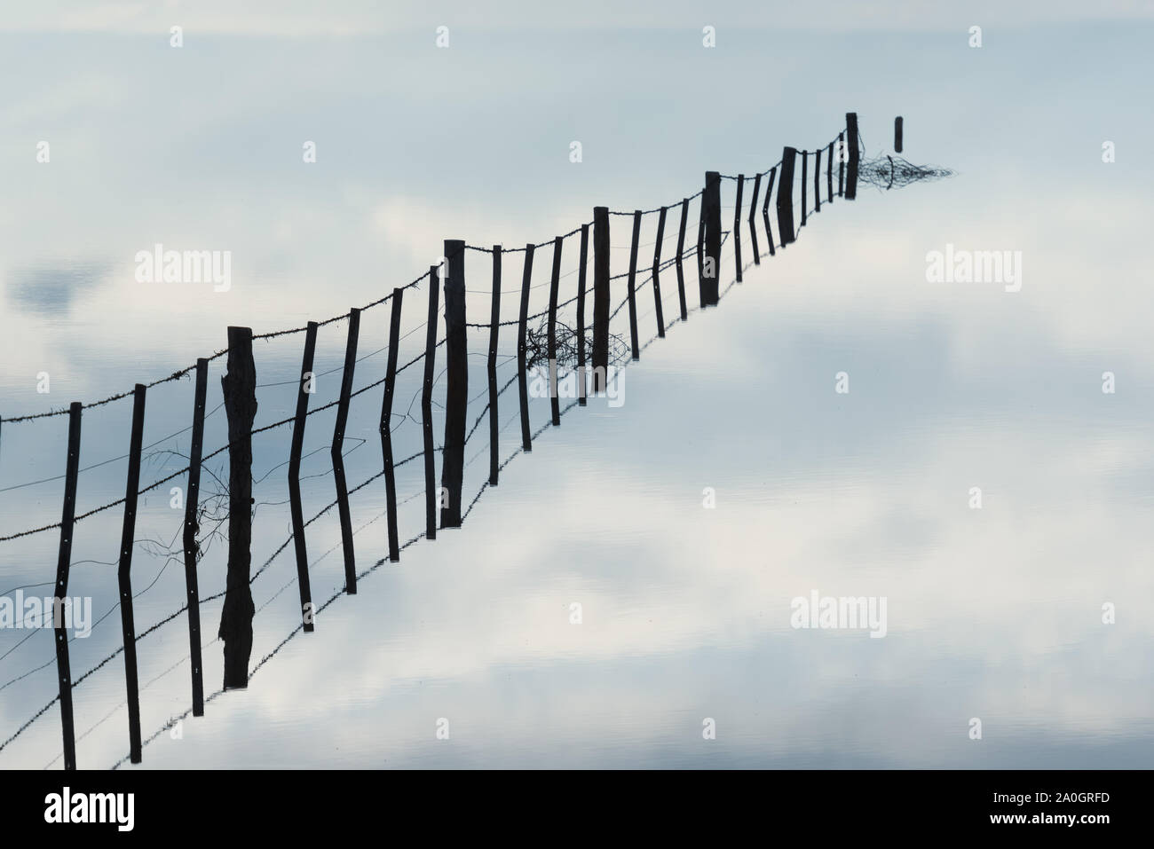 Verkabelung am See und Reflexion. In der Provinz Buenos Aires. Stockfoto