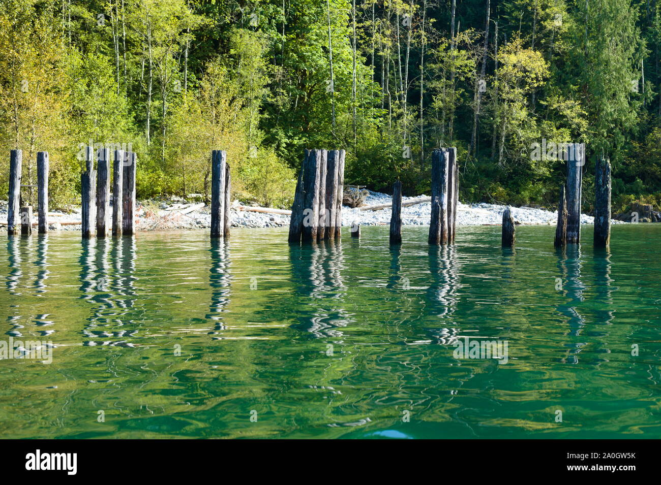 Überreste eines alten Docks am Alouette Lake, Maple Ridge, British Columbia, Kanada Stockfoto