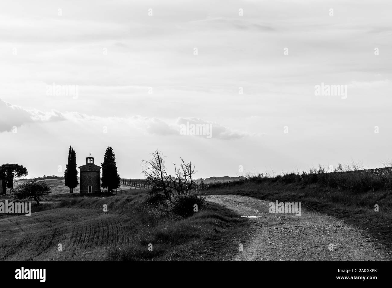 Wunderschöne Toskana Landschaft im Frühling mit Wave Hills, eine Straße und Zypressen. Toskana, Italien, Europa Stockfoto