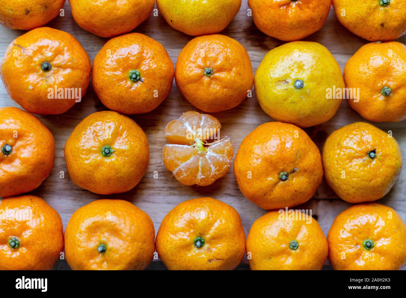 Voller Rahmen mit leuchtenden orangefarbenen Früchten in Reihen für ein gesundes Bakkground im Nahrungs- und Lifestyle-Stil Stockfoto