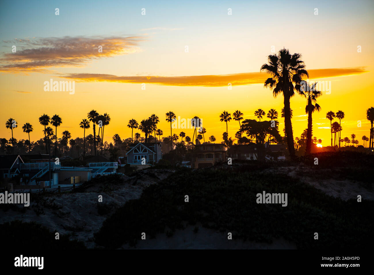Sonnenaufgang hinter dem Palmenstrand am südlichen Ende von Big Sur in Kalifornien. Stockfoto