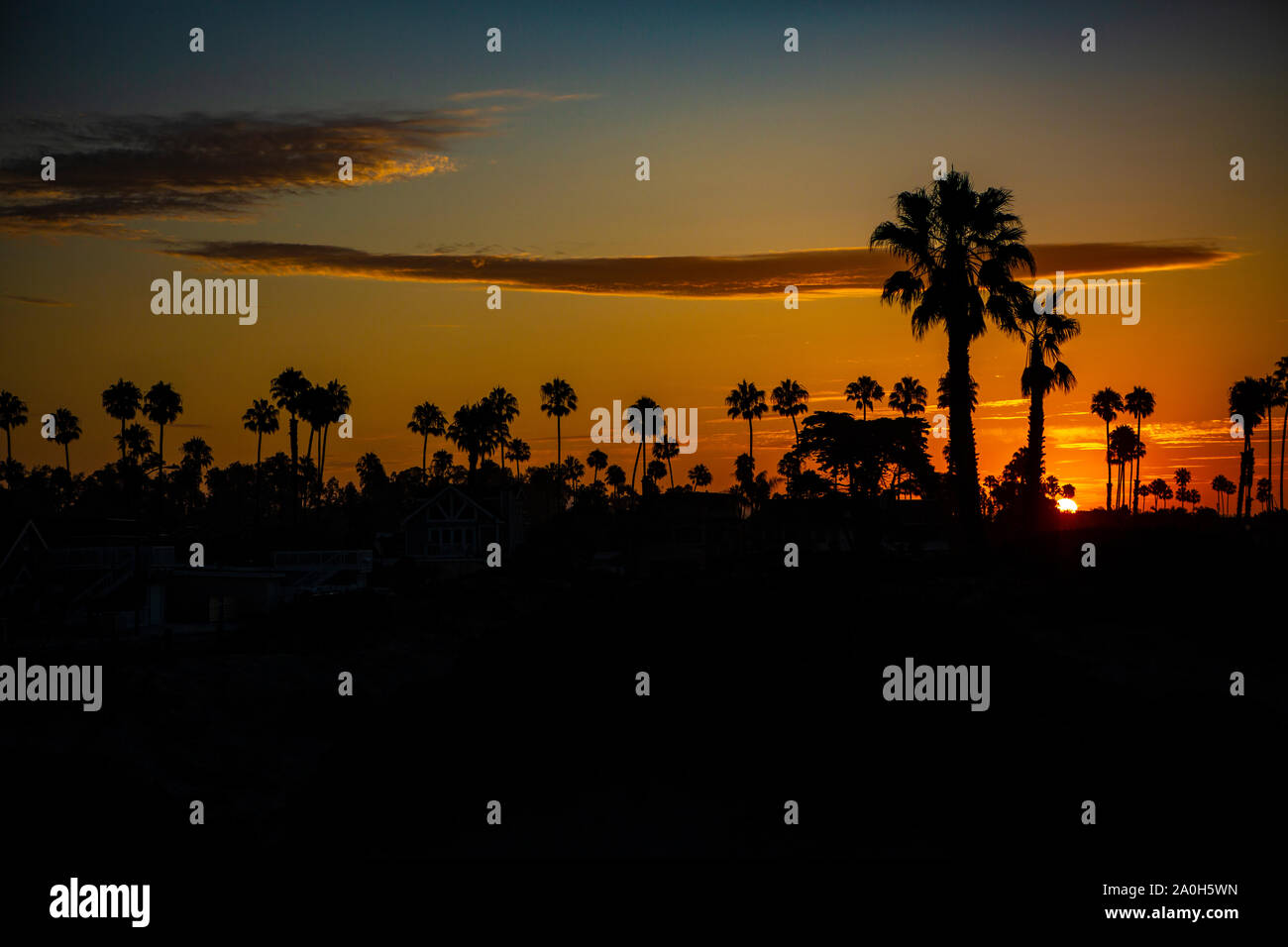 Sonnenaufgang hinter dem Palmenstrand am südlichen Ende von Big Sur in Kalifornien. Stockfoto