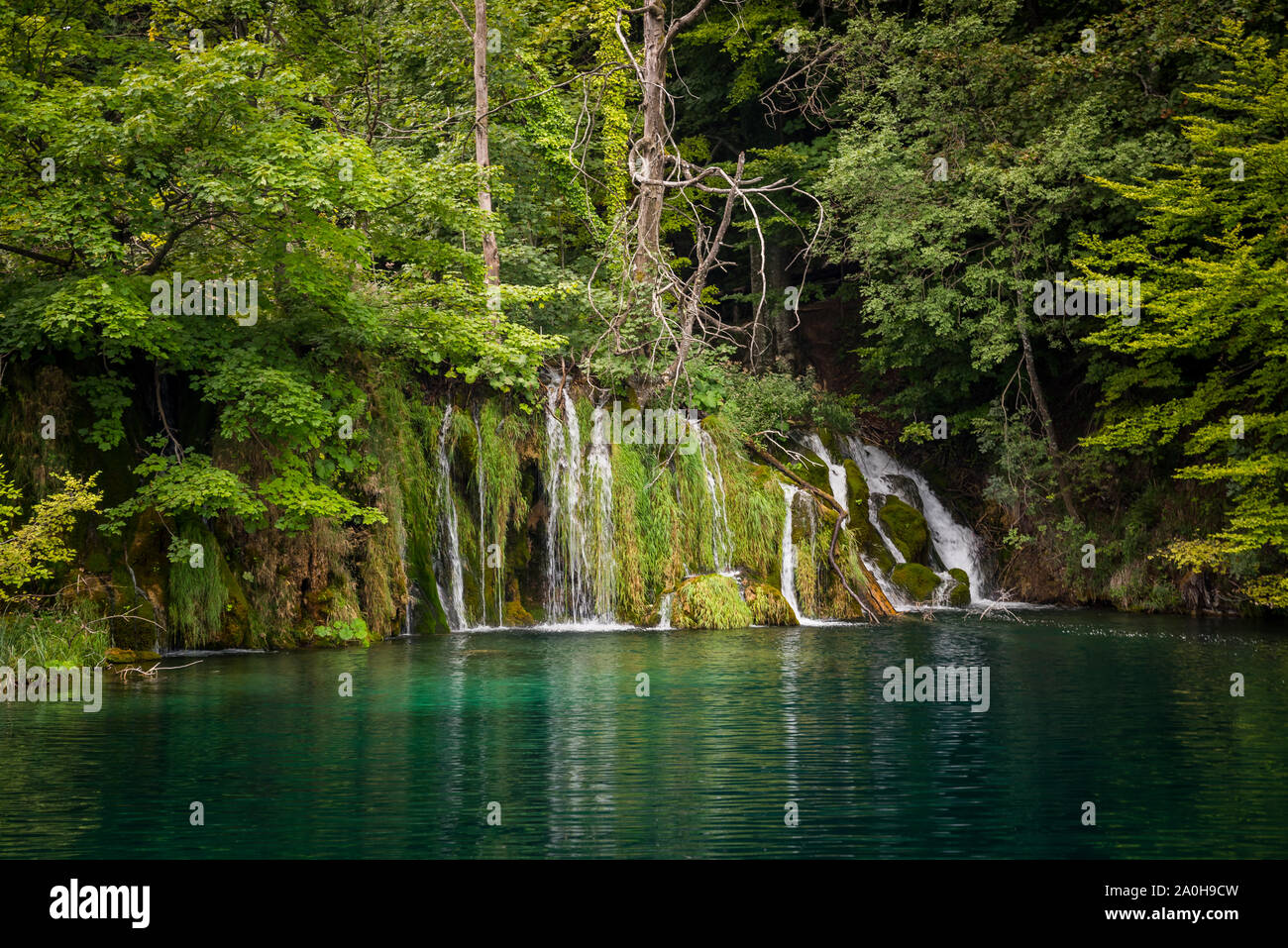 Beeindruckende Wasserfälle im Wald im Nationalpark Plitvicer Seen, Kroatien. Natur Landschaft Stockfoto