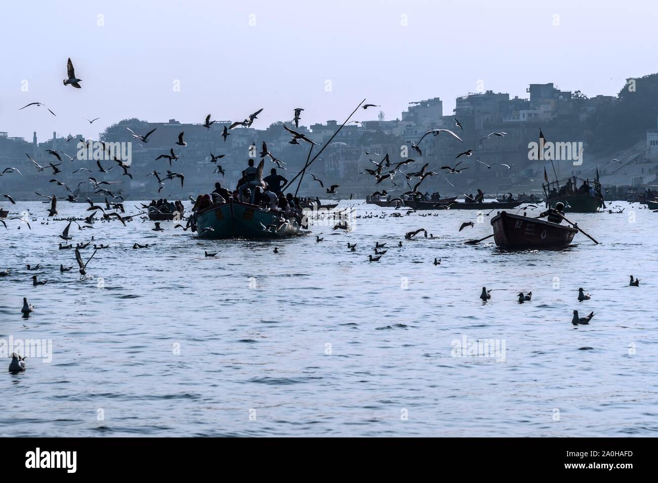 Boote voller Menschen Navigation auf den Ganges, durch fliegende Möwen, Varanasi, Uttar Pradesh, Indien umgeben Stockfoto