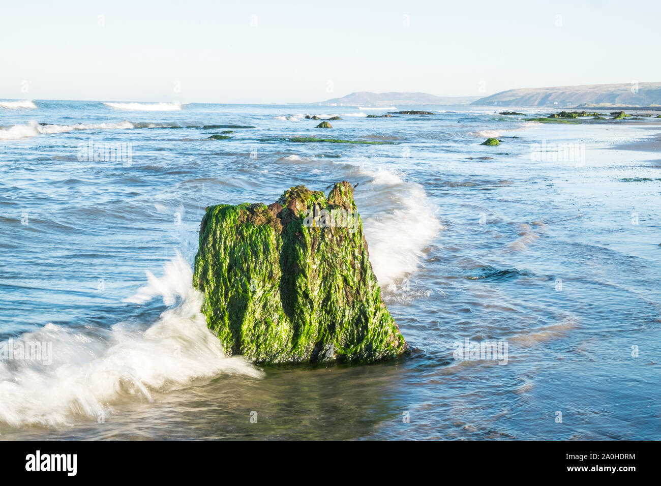 UK Wetter: Ebbe enthüllt Versunkenen Wald bei Sonnenaufgang am Borth/Ynyslas Strand, Ceredigion, Wales, UK.Combination von Ebbe in 7:23 Uhr und Sonnenaufgang an ähnlichen Zeit geschieht, macht diese Landschaft ein seltener Anblick. Diese prähistorischen Waldes, die unter Sand und Wasser 4.500 Jahren begraben wurde in lokalen Torf erhalten haben. Die versteinerten Bäume sind bei sehr niedrigen Tide am Strand zwischen Borth und Ynyslas, Ceredigion County, West Wales, Großbritannien ausgesetzt. Stockfoto