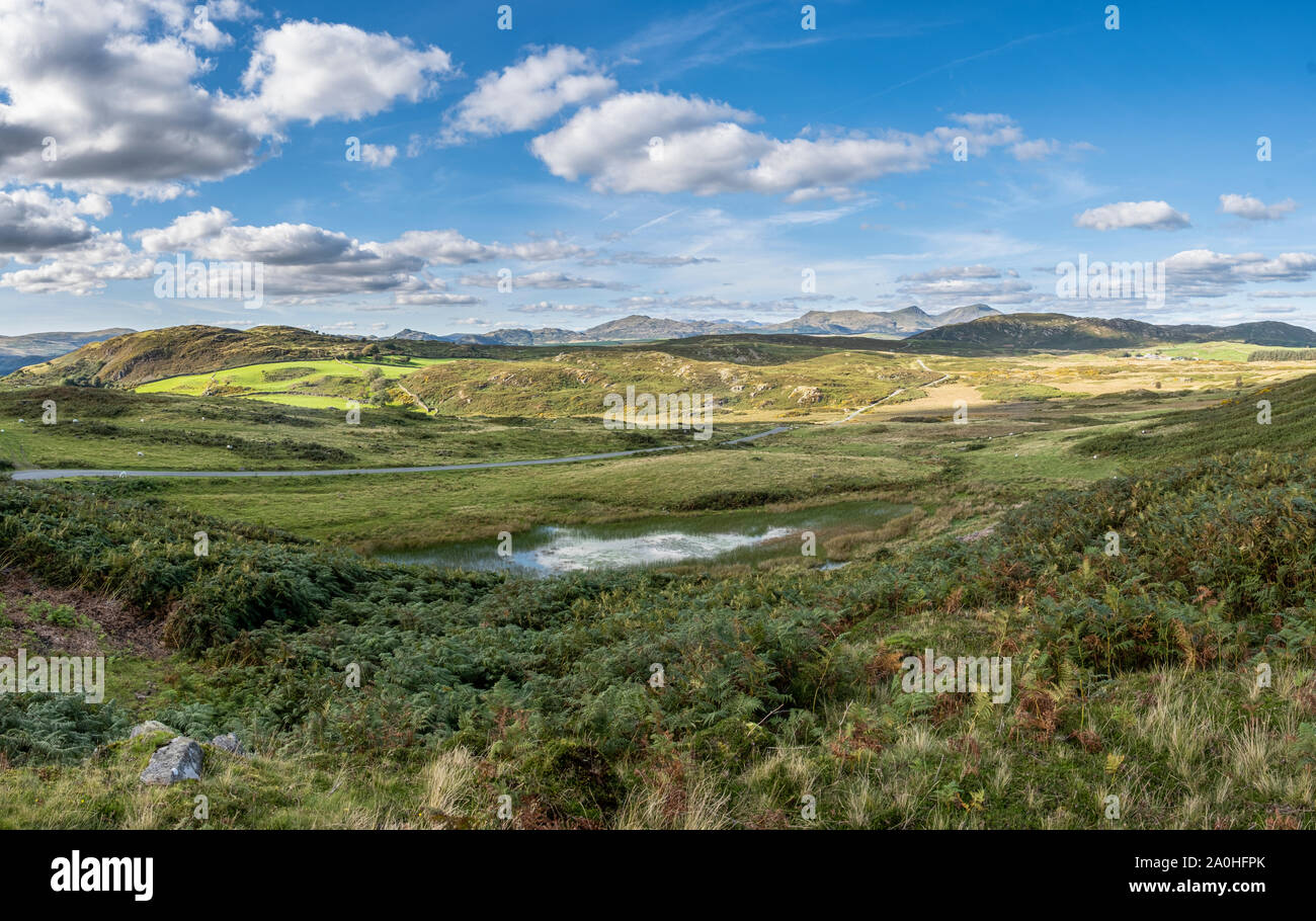 Ein Tarn auf Kirkby Moor als Anfang Herbst beginnt die Grünen in Richtung Braun zu drehen. Stockfoto