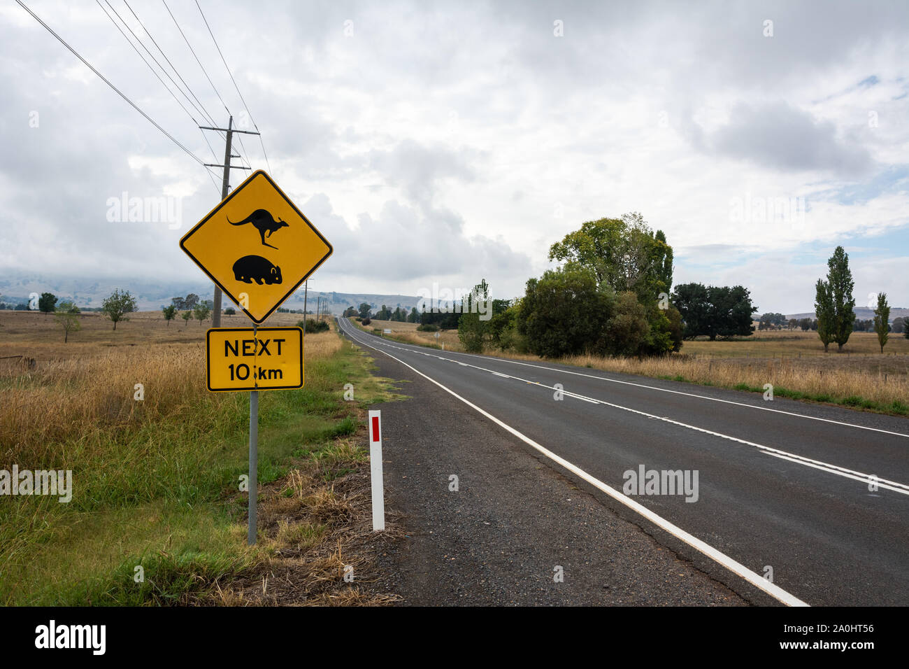 "Kangaroo und Wombat Kreuzung. 10 km' Zeichen entlang einer Straße in Australien. Stockfoto