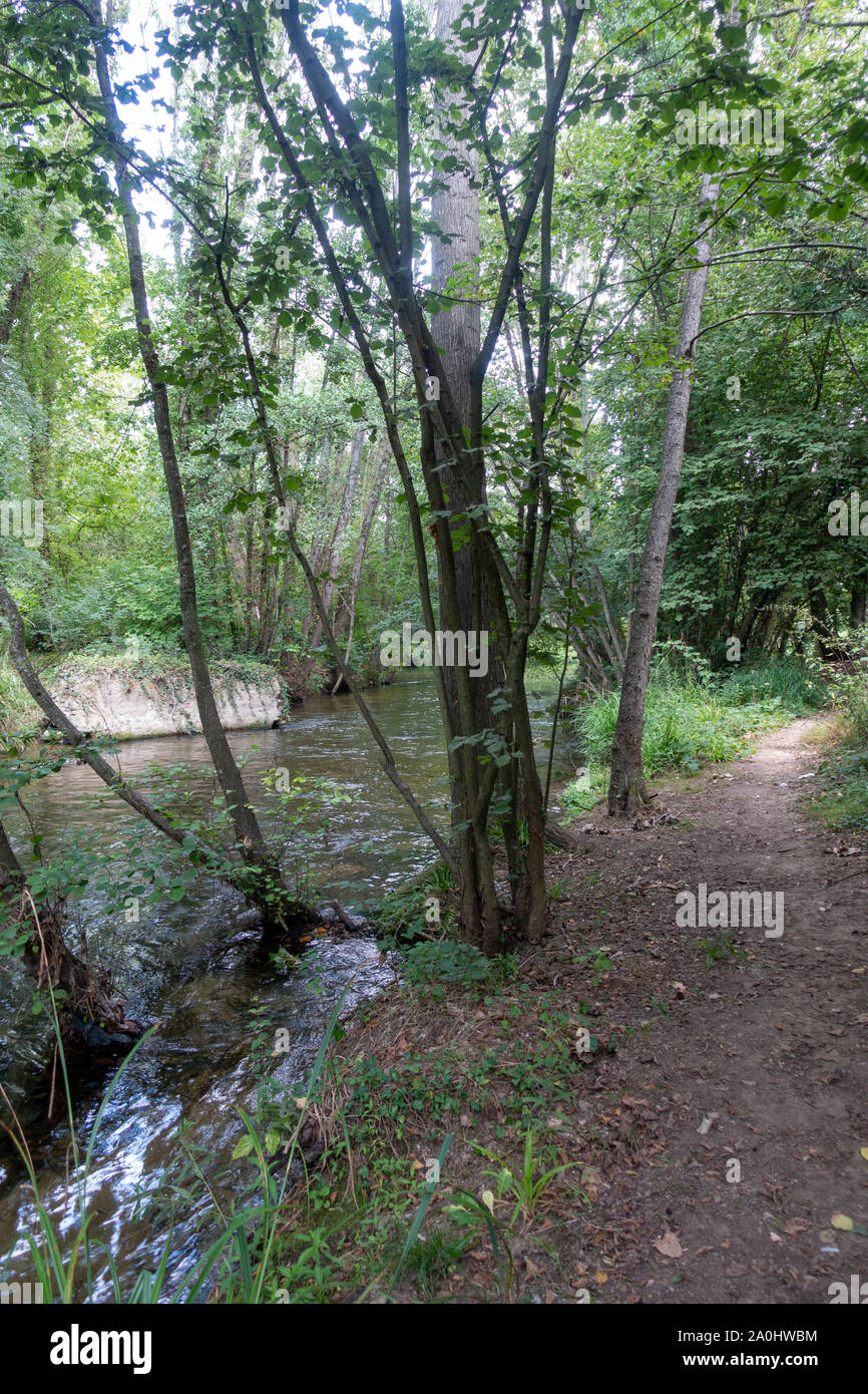 Der Fluss Ter neben der Greenway von Carrilet, Girona, Spanien Stockfoto