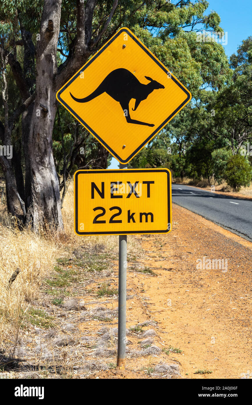 Kangaroo crossing Sign in Australien. Stockfoto