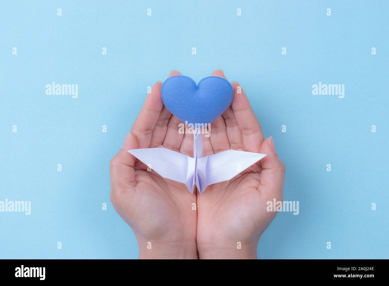 Frau Hände, die weißen Vogel und blaues Herz. Internationaler Tag des Friedens. Stockfoto