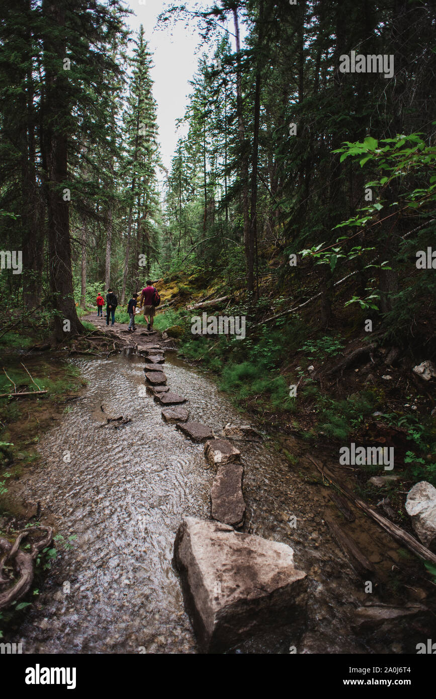 Familie wandern Vergangenheit Trittsteine auf nasser Strecke durch den Wald. Stockfoto